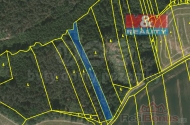 Prodej pozemku , les, Chotmice (okres Tbor)