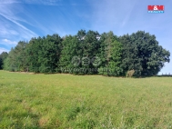 Prodej pozemku , les, Paceice (okres Liberec)
