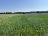 Prodej pozemku 16 653 m2, uren k vstavb RD, Vysok Pec, Drmaly (okres Chomutov)