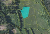 Prodej pozemku 4 873 m2, trval travn porost, Jankov, Noskov (okres Beneov)
