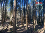 Prodej pozemku , les, Jankov (okres Beneov)