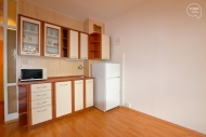 Pronjem bytu 1+kk, 26 m2, OV, Brno, abovesky (okres Brno-msto), ul. Vychodilova