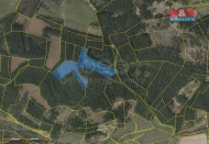 Prodej pozemku , les, Pechovice (okres Strakonice)