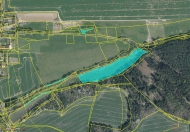 Prodej pozemku 81 753 m2, zemdlsk pda, Beneovice, Lom u Stbra (okres Tachov)