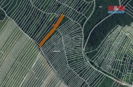 Prodej pozemku , les, Horn Bojanovice (okres Beclav)