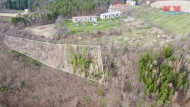 Prodej pozemku , les, Bojanovice, Senenice (okres Praha-zpad)