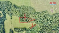 Prodej pozemku , les, Sobkovice (okres st nad Orlic)