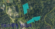 Prodej pozemku , les, Bedichov (okres Jablonec nad Nisou)