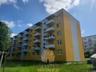 Prodej bytu 1+1, 31 m2, OV, Milovice, Mlad (okres Nymburk), ul. Spojovac