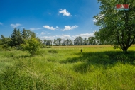 Prodej pozemku , zemdlsk pda, Louck (okres Kladno)