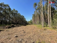 Prodej pozemku , les, Borov nad Vltavou (okres esk Budjovice)