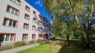 Pronjem bytu 2+1, 50 m2, OV, Plan (okres Tachov), ul. Fukova - exkluzivn