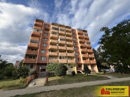 Pronjem bytu 1+1, 36 m2, OV, Ivanice (okres Brno-venkov)