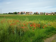 Prodej pozemku , uren k vstavb RD, Jaromice nad Rokytnou (okres Teb)