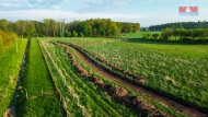 Prodej pozemku , uren pro komern vstavbu, Valy (okres Pardubice)