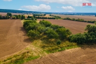 Prodej pozemku , zahrada, Kbelany (okres Plze-sever)