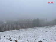 Prodej pozemku , les, elezn Brod (okres Jablonec nad Nisou)