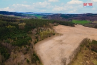 Prodej pozemku , zemdlsk pda, Pedenice (okres Plze-jih)