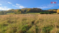 Prodej pozemku , trval travn porost, Jakubovice nad Odrou (okres Nov Jin)