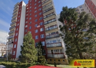 Pronjem bytu 1+kk, 33 m2, OV, Brno, idenice (okres Brno-msto)