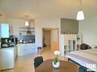 Pronjem bytu 1+kk, 44 m2, OV, , ul. Budilova