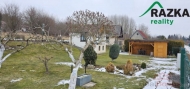 Prodej rekreačního objektu, Tachov