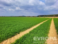 Prodej pozemku , zemědělská půda, Čistá (okres Mladá Boleslav)