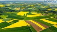 Prodej pozemku , zemědělská půda, Dříteň (okres České Budějovice)