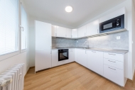 Pronjem bytu 1+kk, 42 m2, OV, Slan (okres Kladno), ul. ikova
