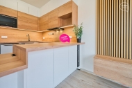 Pronjem bytu 2+kk, 53 m2, OV, Holubice (okres Vykov)