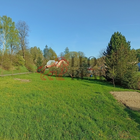 1746374997321.jpg