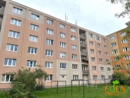 Pronjem bytu 1+1, 38 m2, OV, Plze, Hradit (okres Plze-msto), ul. Nepomuck - exkluzivn