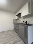 Pronjem bytu 1+kk, 32 m2, OV, Praha 10, Stranice, ul. Krlovick