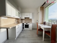 Pronjem bytu 1+1, 42 m2, DV, st nad Labem, Severn Terasa, ul. Muchova
