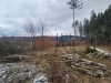 IMG-20250124-WA0002.jpg