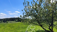 Prodej pozemku , zahrada, Stran, Male (okres Klatovy)