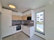 Pronjem bytu 1+kk, 44 m2, OV, Brno, Sadov (okres Brno-msto), ul. Moskalykova