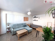 Pronjem bytu 1+1, 40 m2, OV, Kralupy nad Vltavou (okres Mlnk), ul. sdl. Hrka