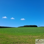 Prodej pozemku , uren k vstavb RD, ernon, Ostrovce (okres Tachov) - exkluzivn