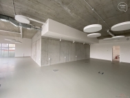 Pronjem obchodnch prostor, Brno, idenice (okres Brno-msto)