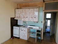 Prodej bytu 1+1, 0 m2, OV, Nové Sedlo (okres Sokolov), ul. Sadová - exkluzivně