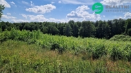Prodej pozemku , určený k výstavbě RD, Hamr na Jezeře (okres Česká Lípa)