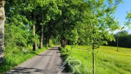 Prodej pozemku , určený k výstavbě RD, Kašperské Hory (okres Klatovy)