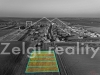 1742896109-0539.jpg
