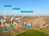 1742895443-4121.jpg