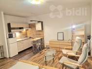 Pronjem bytu 1+kk, 0 m2, OV, Brno, idenice (okres Brno-msto), ul. Velkopavlovick