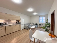 Pronjem bytu 2+kk, 65 m2, OV, Brno, Horn Herpice (okres Brno-msto), ul. Kouliova - exkluzivn