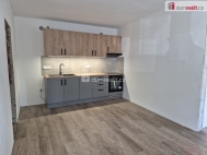 Pronjem bytu 2+kk, 43 m2, OV, esk Budjovice, esk Budjovice 3, ul. Na Sadech