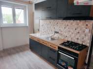 Pronjem bytu 1+1, 41 m2, OV, Pestavlky (okres Litomice)