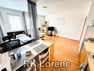 Pronjem bytu 1+kk, 39 m2, OV, Brno, Star Brno (okres Brno-msto), ul. Trbova - exkluzivn